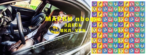 шишки Карпинск
