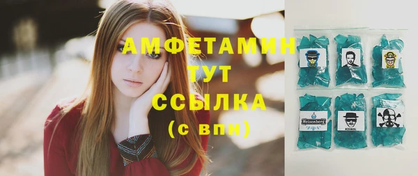 шишки Карпинск
