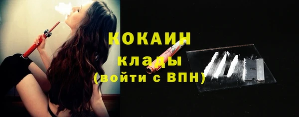 шишки Карпинск