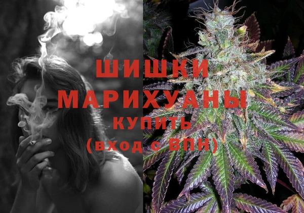 шишки Карпинск