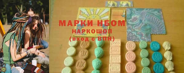 прущие грибы Болохово
